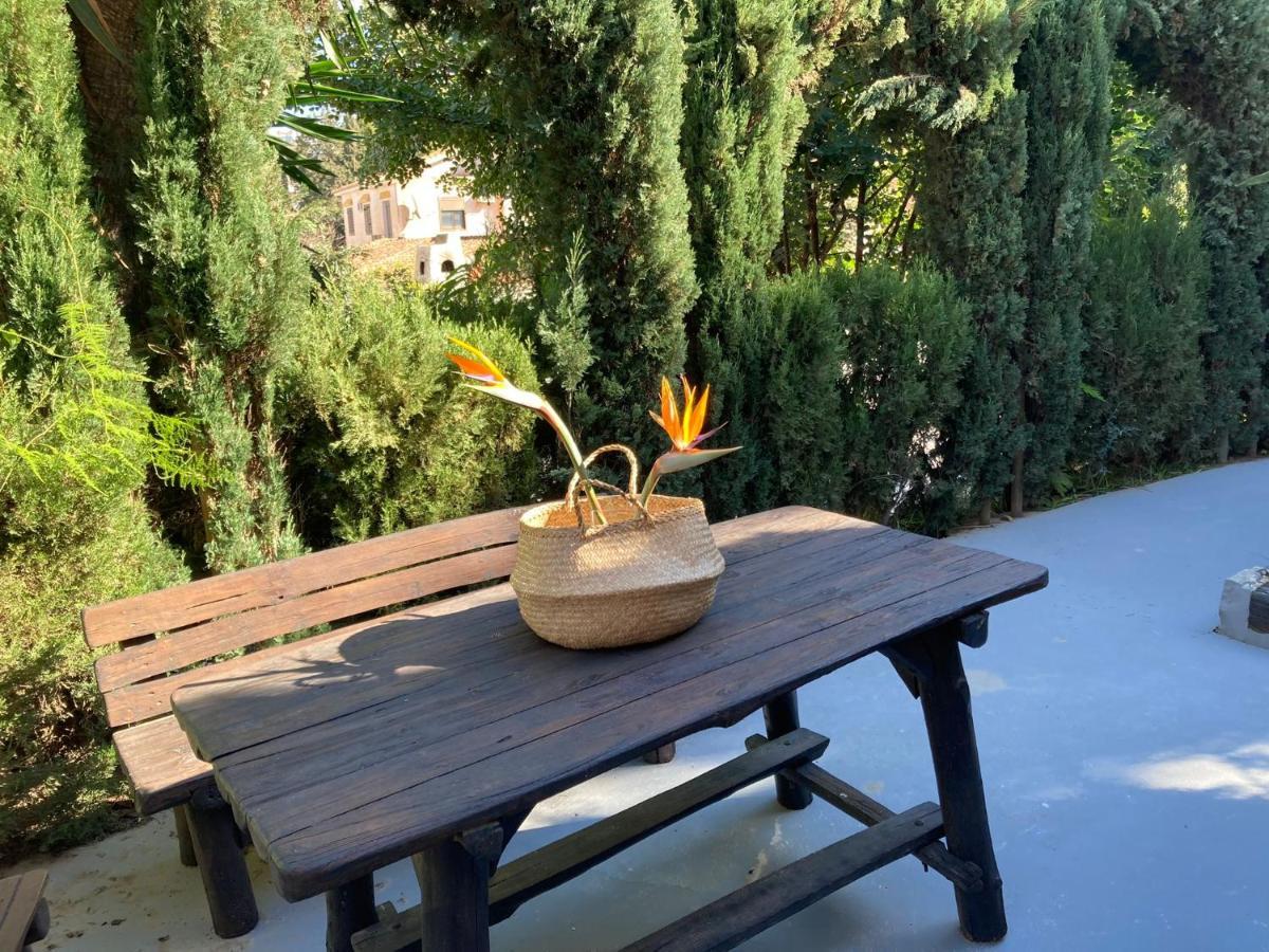Estudio Pedregalejo Garden Μάλαγα Εξωτερικό φωτογραφία